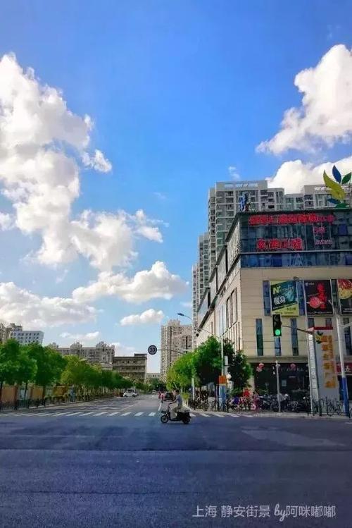 白露凋花花不残 从上海纯凋广告看一种逆向生长的城市美学